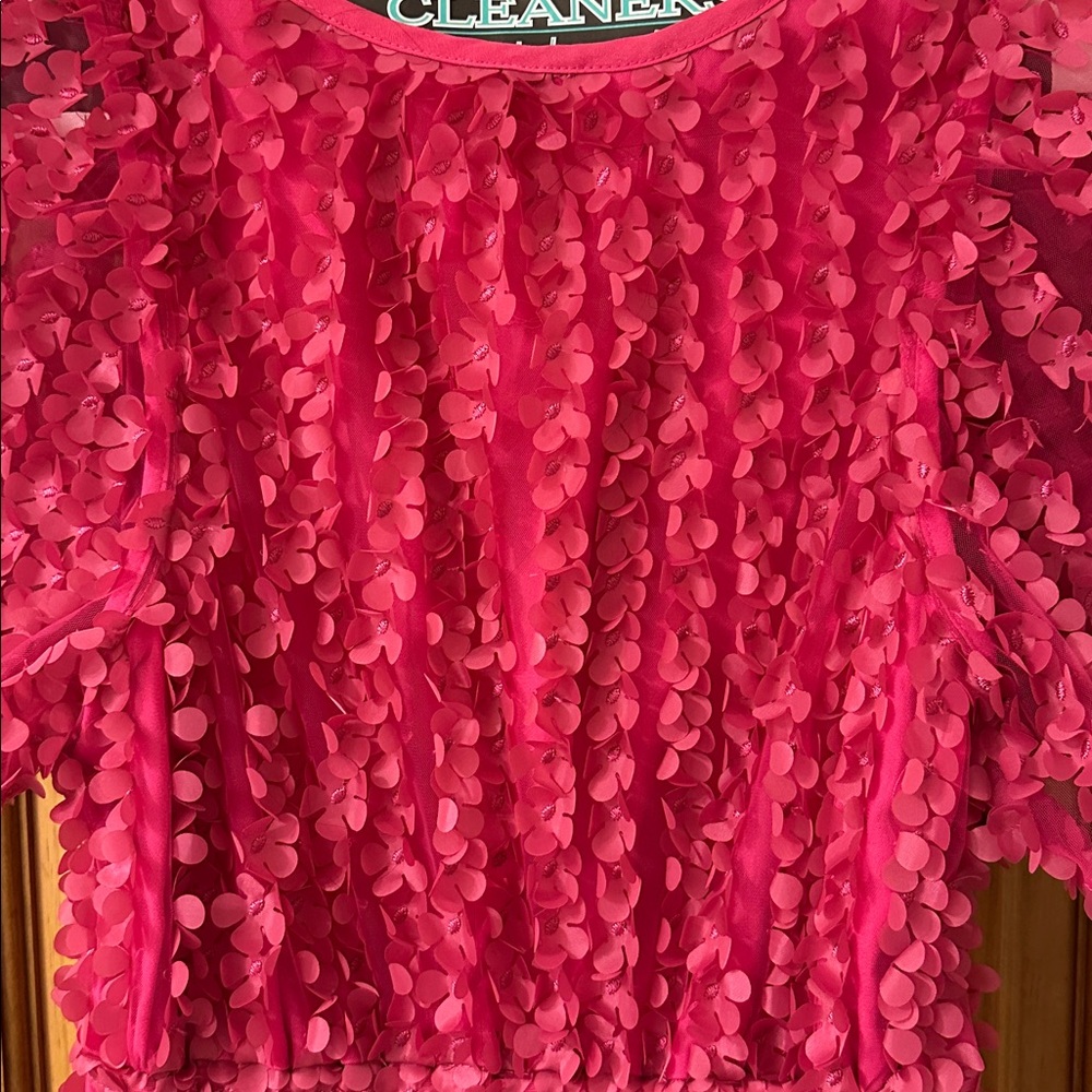 Anthropologie Somerset Appliqué  Textured Mini Dress- EUC!! - Picture 8 of 11